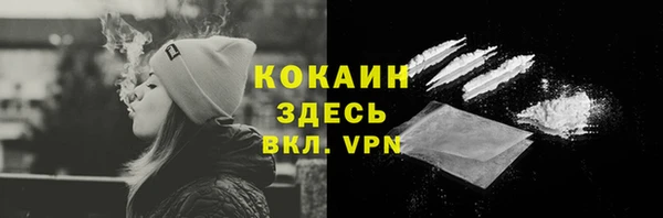 соль ск Алзамай